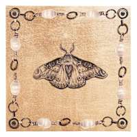 SCADpro Moth I Canvas Wall Art, 12"