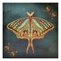 SCADpro Moth on Green Canvas Wall Art, 12"