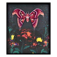 SCADpro Glass Framed Moth Garden Print Wall Decor, 21x25