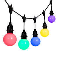 12-Count LED Color Change G60 Globe String Lights Black Commercial Wire with Remote & Timer
