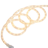 Clear Rope Light, 15'