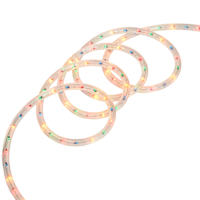Multi-Color Rope Light, 15'