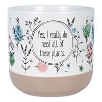 Indoor All of These Plants Sentiment Planter, 5.5"
