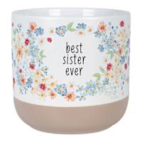 Indoor Best Sister Ever Sentiment Planter, 5.5"