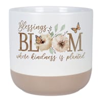 Indoor Blessings Bloom Sentiment Planter, 5.5"
