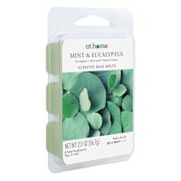 Mint Eucalyptus Scented Wax Melts, 2oz