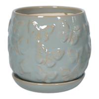 Indoor Sage Butterfly Planter, Medium