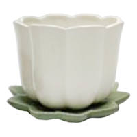 Indoor Cream Tulip Leaf Planter