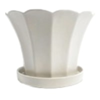 Indoor White Tulip Planter with Saucer, Medium