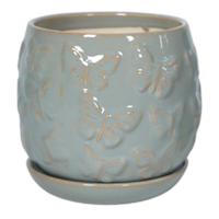 Indoor Sage Butterfly Planter, Small