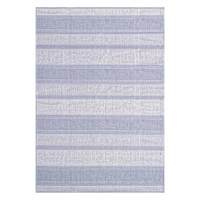 Grey & Blue Fifer Striped Outdoor Area Rug, 5x7