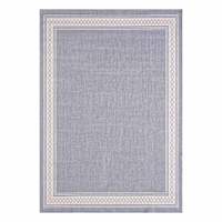 Fifer Blue Border Area Rug, 5x7