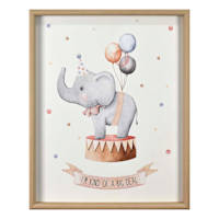 Glass Framed Elephant Print Wall Art, 17x21