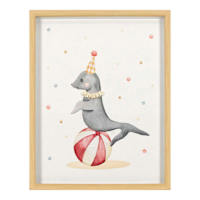 Glass Framed Circus Seal Print Wall Art, 17x21