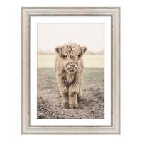 Highland Calf Framed Wall Art, 14x18