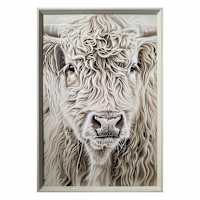 Glass Framed Highland Fluffy Cow Paper Wall Art, 25x37