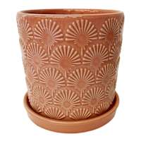 Indoor Bixby Coral Planter, 5.7"