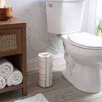 Cade Chrome Toilet Paper Holder, 13"