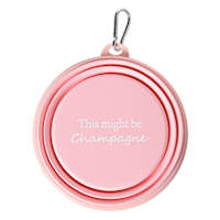 Collapsible Pet Bowl This Might Be Champagne