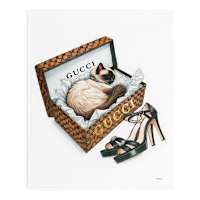 Glam Cat In Shoe Box Canvas Wall Art, 16x20