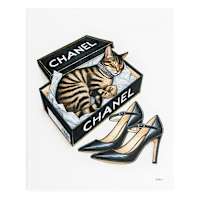 Glam Cat In Shoe Box Canvas Wall Art, 16x20