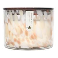 Clementine & Clove Scented Jar Candle, 23.5oz