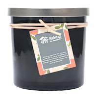 Fresh Apple Orchard Scented Jar Candle, 13oz