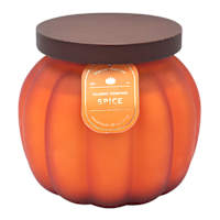 Classic Pumpkin Spice Scented Jar Candle, 35.8oz