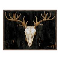 Glass Framed Southwest Skull Print Wall Art, 25x19