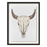 Glass Framed Skull Print Wall Art, 34x46