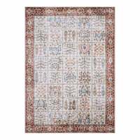 (D621) Freya Terracotta Medallion Area Rug, 5x7