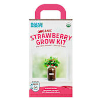 Back to Roots Windowsill Organic Strawberry Grow Kit
