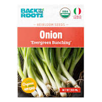 Back to Roots Heirlooms Seeds, Onion Evergreen Bunching