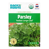 Back to Roots Heirloom Seeds, Parsley Italian Leaf