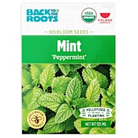 Back to Roots Heirlooms Seeds, Mint Peppermint