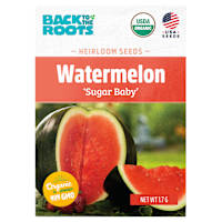 Back to Roots Heirloom Seeds, Watermelon Sugar Baby
