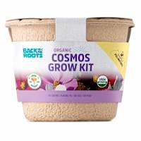 Back to Roots Organic Cosmos Growing Kit