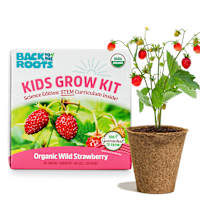 Back to Roots Kids Grow Kit, Strawberry
