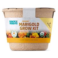 Back to Roots Organic Marigold Grow Kit