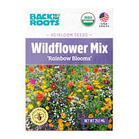 Back to Roots Heirloom Seeds, Wildflower Mix