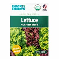 Back to Roots Heirloom Seeds, Mixed Lettuce Gourmet Blend