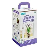 Back to Roots Windowsill Organic Lavender Grow Kit