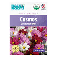 Back to Roots Heirloom Seeds, Cosmos Sensation Mix