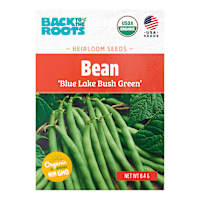 Back to Roots Heirloom Seeds, Bean Blue Lake Bush Green