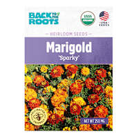 Back to Roots Heirloom Seeds, Marigold Sparky