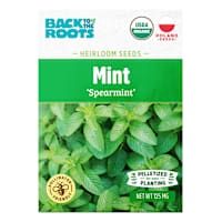Back to Roots Heirloom Seeds, Spearmint