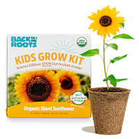 Back to Roots Kids Grow Kit, Sunflower