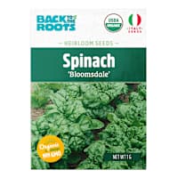Back to Roots Heirloom Seeds, Spinach Bloomsdale