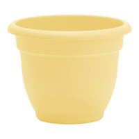 Ariana Daffodil Outdoor Planter, 12"