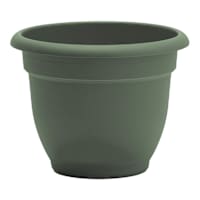 Ariana Basil Outdoor Planter, 6"